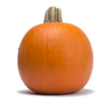 Single pumpkin isolated on white background Stock Photos