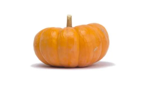 Single Pumpkin Isolated on White Background Stock Photos