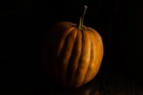 Single pumpkin in low light, dark background, close-up photo Stock Photos