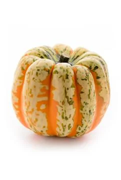 Single pumpkin Stock Photos