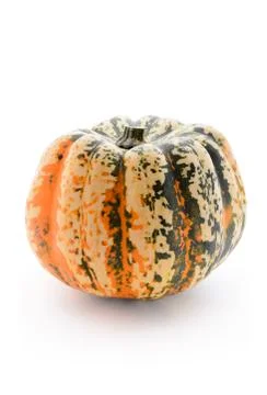 Single pumpkin Stock Photos