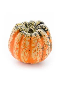 Single pumpkin Stock Photos