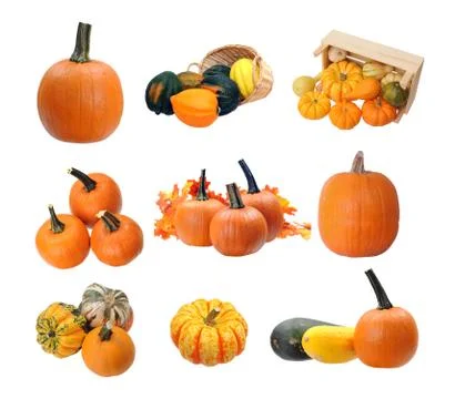 Single pumpkin Stock Photos