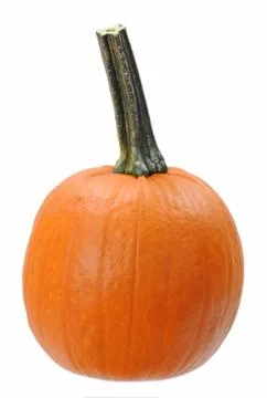Single pumpkin Stock Photos
