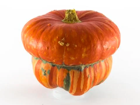 Single pumpkin on white background Foto stock