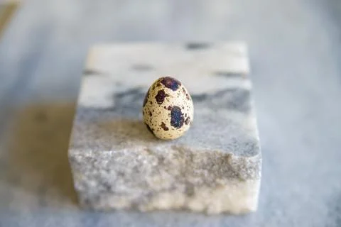 Single quail egg on white background Foto stock