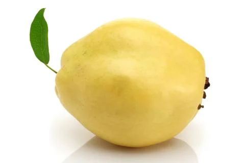 Single Quince fruit with leaf isolated on white Stock Photos