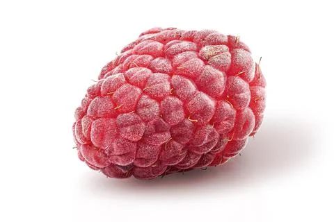 Single raspberry berry rotated isolated on white Stock Photos