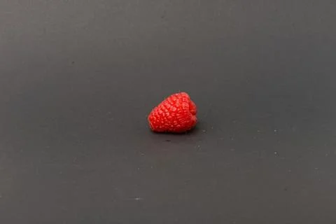 Single raspberry on grey background Stock Photos