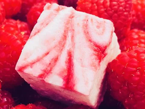 Single Raspberry Marshmallow on bed of raspberries Stock Photos