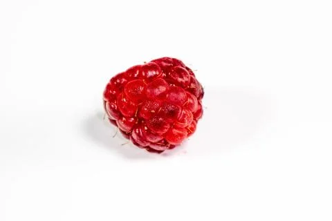 Single raspberry sitting on the kitchen table waiting to be eaten Stock Photos