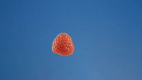 A single raspberry suspended against a blue screen slowing spinning Stock Footage 246910686