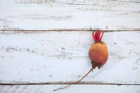 Single raw beet on light blue wooden background Stock Photos