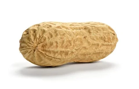 Single raw groundnut Stock Photos