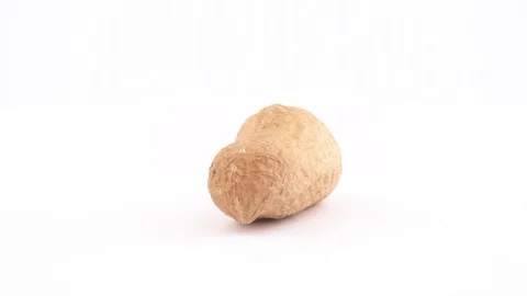 Groundnut Isolated Stock Video Footage | Royalty Free Groundnut ...