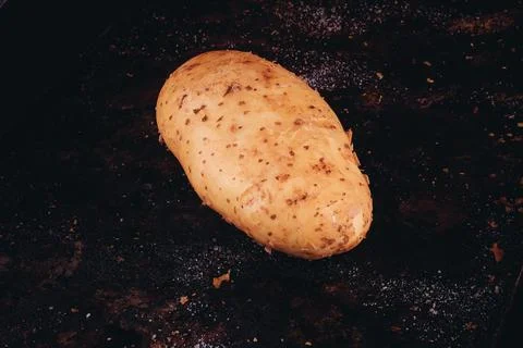 Single raw potato on dark rustic surface Foto stock