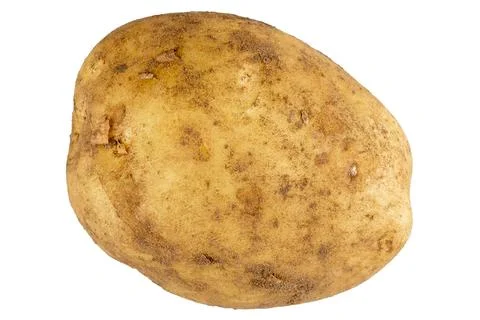 Single raw potato isolated on white background Stock Photos