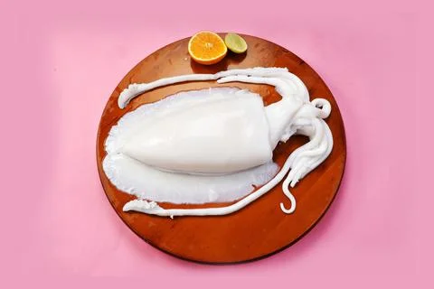 Single Raw Squid Stock Photos