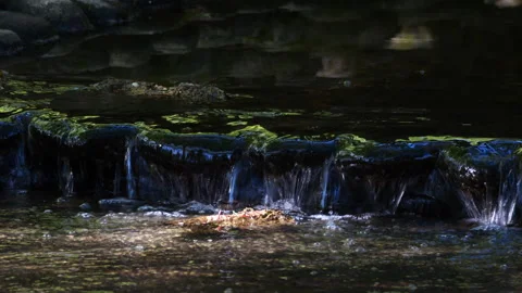 Single ray of light illuminates a small mountain stream Stock Footage 273525585