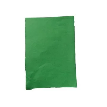 A single rectangular sheet of green paper with a flat surface texture. This.. 库存插图