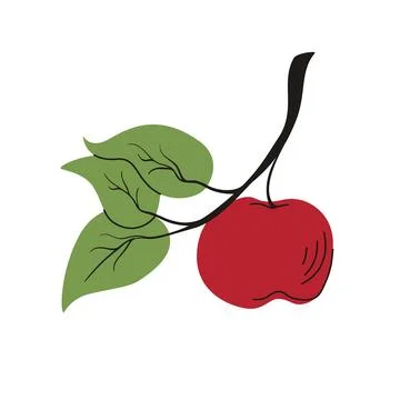 Single Red Apple On Branch Vector Illustration Stock Illustration