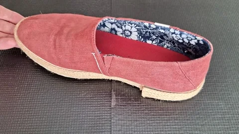 Single Red Canvas Slip On Shoe on Black Background Stock Footage 341312740