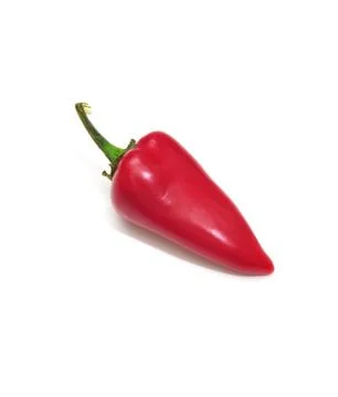 Single red chili Stock Photos