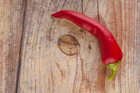 Single red chili Stock Photos