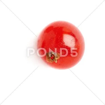 Single Red Currant isolated over white background Stock Photos
