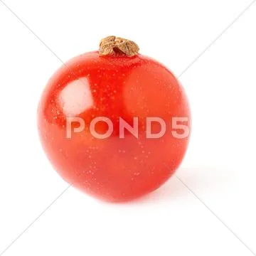 Single Red Currant isolated over white background Stock Photos