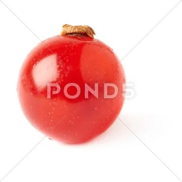 Single Red Currant isolated over white background Stock Photos