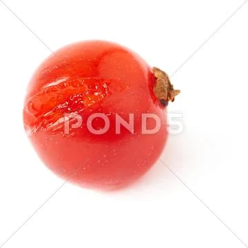 Single Red Currant isolated over white background Stock Photos