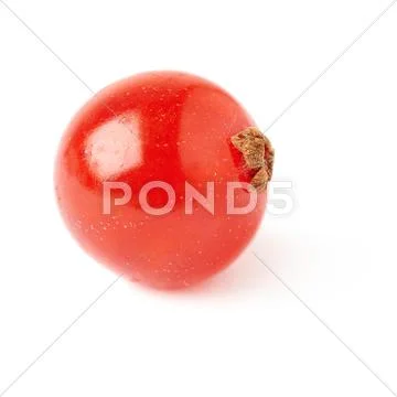 Single Red Currant isolated over white background Stock Photos