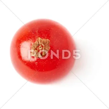 Single Red Currant isolated over white background Stock Photos