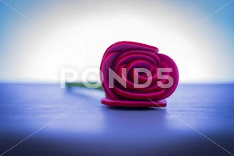 A single red fabric rose on a blue background Stock Photos