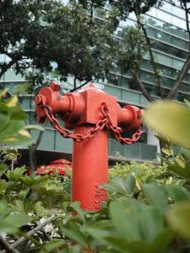 SINGLE RED FIRE HYDRANT Stock Photos
