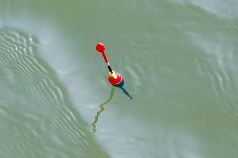 Single red fishing float floats gently on quiet, greenish water Stock Photos
