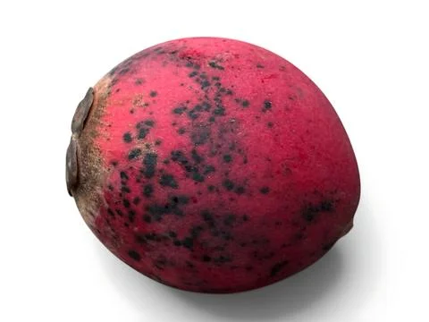 A single red fruit with black spots on a white background Stock Photos