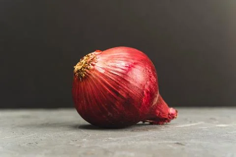 Single red onion isolated on plain dark grey background, studio shot Stock Photos