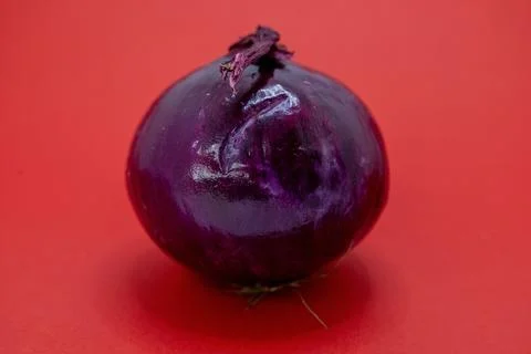 A single red onion sits on a red background. Stock Photos