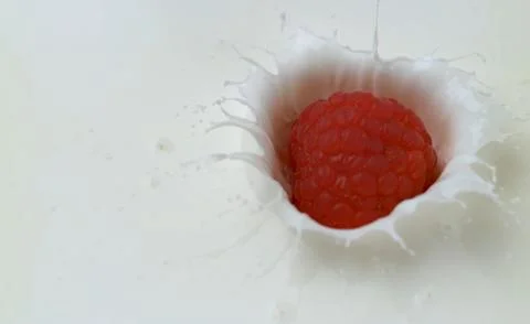 A single red raspberry is floating in a pool of white liquid Stock Photos