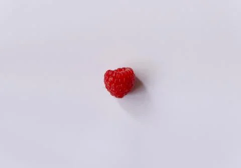 Single red raspberry on white background with space for copy Stock Photos