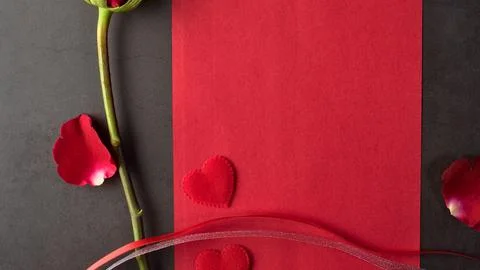 Single red rose with falling petals on a textured background Stock Photos