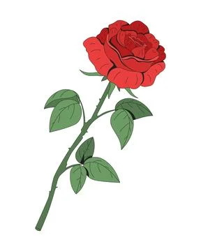 Single red rose with long stem and green leaves 2D cartoon object Stock Illustration