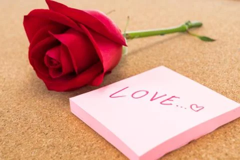 Single red rose with post it with word "love", corkboard background Stock-Fotos