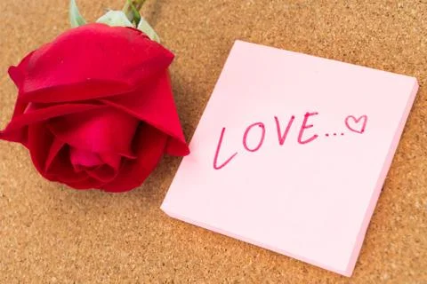 Single red rose with post it with word "love", corkboard background 写真素材