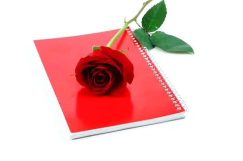 Single red rose with red notebook on white background Stock Photos