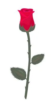 Single red rose with stem and leaves Stock Illustration
