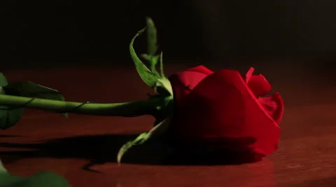 Single red rose on wood table dolly Stock-Footage 47114359