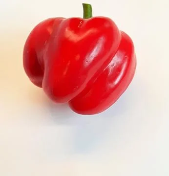 Single red sweet pepper of irregular rounded shape isolated Stock Photos